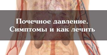 Как узнать почечное давление