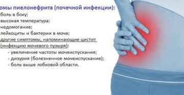 Почему болят почки после еды