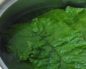 Лечение кисты почек лопухом в домашних условиях