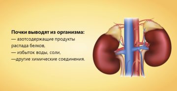 Почки не выводят воду причины