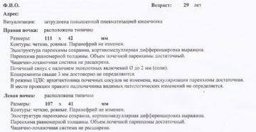 Бланк узи сосудов почек