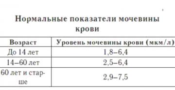 Мочевина в крови повышена причины у ребенка
