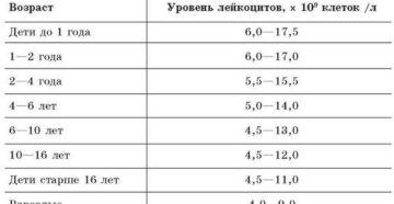 Лейкоциты в моче у годовалого ребенка