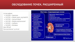 Как проверить работу почек