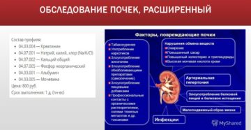 Как проверить работу почек