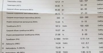 Можно ли по общему анализу мочи определить беременность