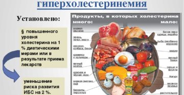 Повышенный холестерин и почки