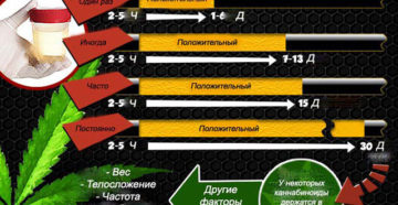 Сколько в моче держится гашиш