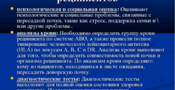 Реципиенты почки контакты
