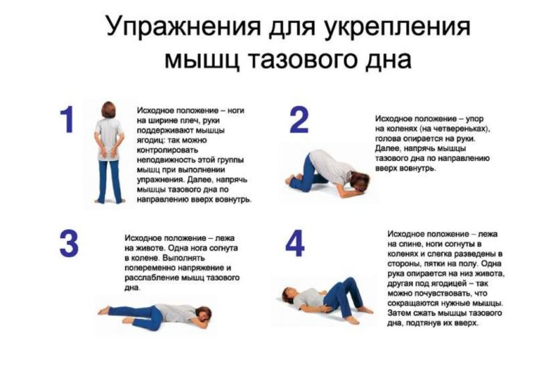 Упражнение кегеля сколько раз в день