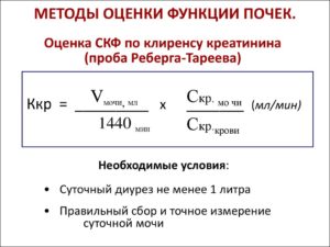 Проба реберга формула расчета