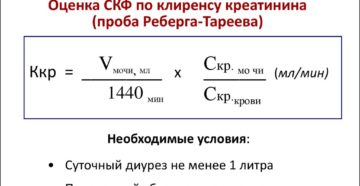 Проба реберга формула расчета