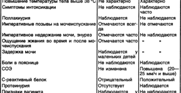 Пиелонефрит и цистит разница