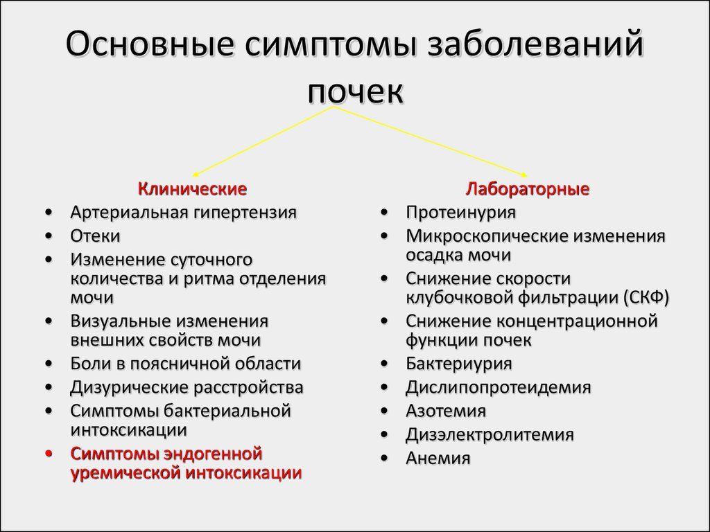 Первые симптомы при болезни почек