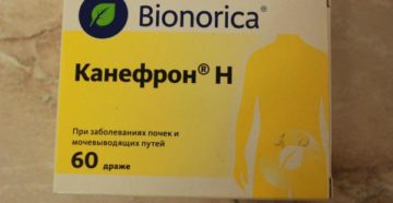Канефрон инструкция после еды или до
