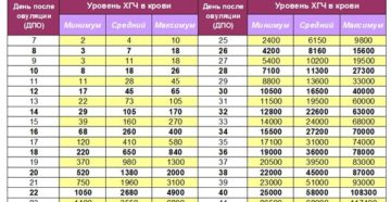 Хгч в крови и моче