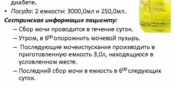 Как правильно сдать анализ мочи на сахар