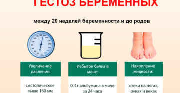 Давление и белок в моче при беременности