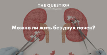 Можно ли жить без почки девушке