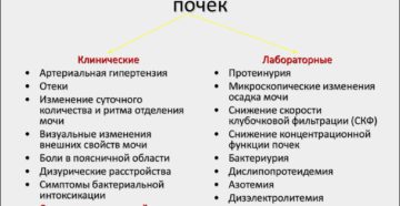 Признаки больных почек лечение