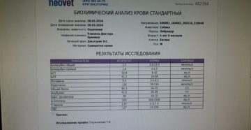 Биохимический анализ крови сроки готовности