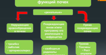 Последствия нарушения деятельности почек