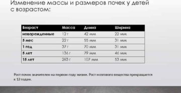У ребенка почки больше возрастной нормы
