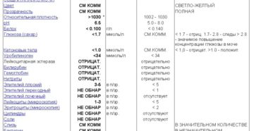 Слизь в моче 3 плюса что это значит