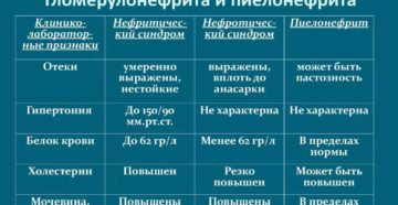 Дифференциальная диагностика гломерулонефрита у детей