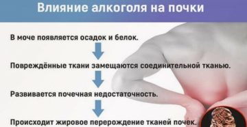 Болят почки после алкоголя как лечить лекарства