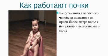 Как заставить почки работать лучше