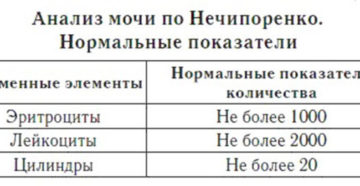 Норма лейкоцитов в моче по нечипоренко у детей
