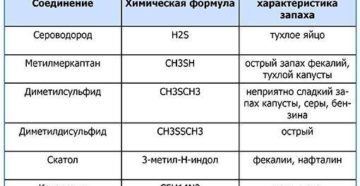 Моча пахнет тухлыми яйцами у женщин причины