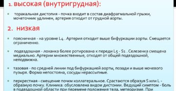 Укажите виды дистопии почки