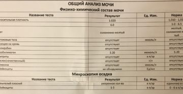 Лейкоциты в моче норма у мужчин норма