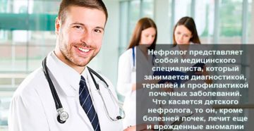 Кто занимается почками уролог или нефролог
