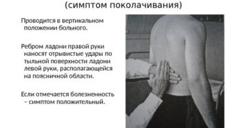 Как проверить больную почку