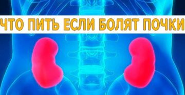 Болят почки что нужно принимать