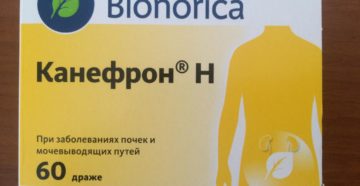 Таблетки от боли в почках название список