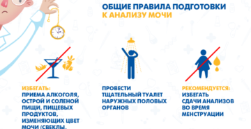 Общий анализ мочи как готовиться