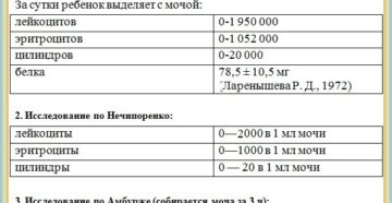 Анализ мочи по нечипоренко норма у детей до года таблица