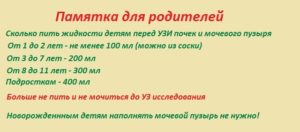 Сколько пить воды перед узи