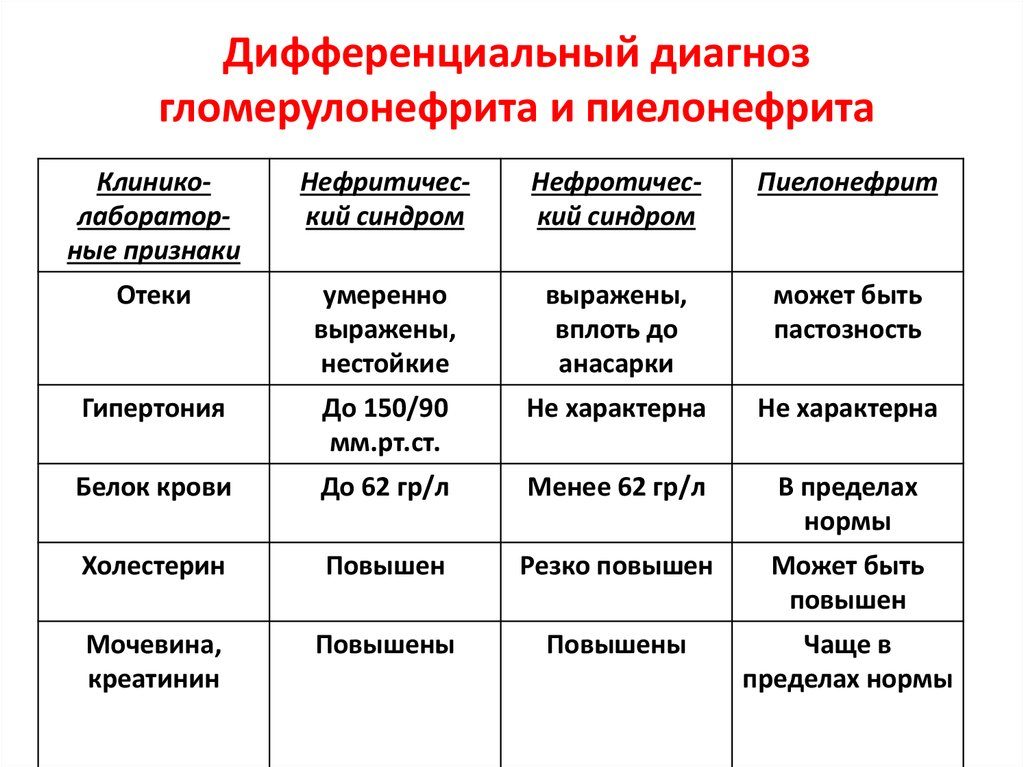 Дифференциальный диагноз хронический гломерулонефрит