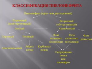 Презентация на тему острый пиелонефрит