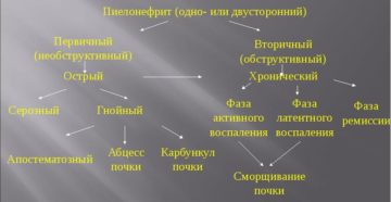 Презентация на тему острый пиелонефрит