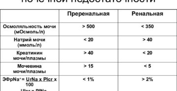 Биохимия крови показатели почек