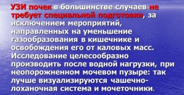 Памятка перед узи почек