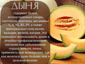 Печень и дыня