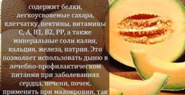 Печень и дыня