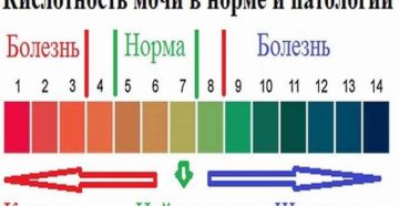 Норма рн в моче у женщин